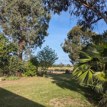 Cudgegong Valley Motel Mudgee Εξωτερικό φωτογραφία