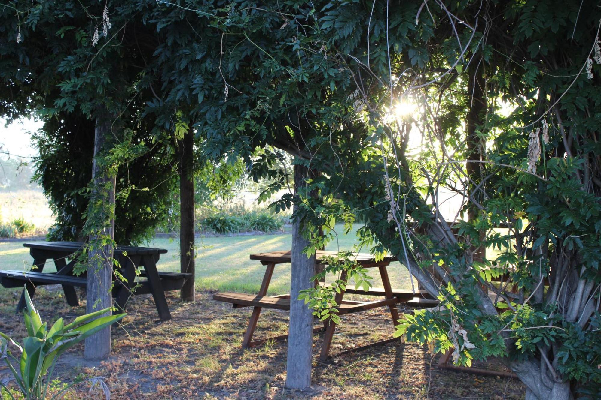 Cudgegong Valley Motel Mudgee Εξωτερικό φωτογραφία